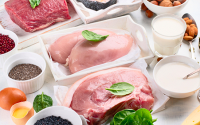 Are high protein diets safe for weight loss?
