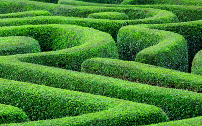 Navigating the maze: How to Find the Right Weight Management Plan for You