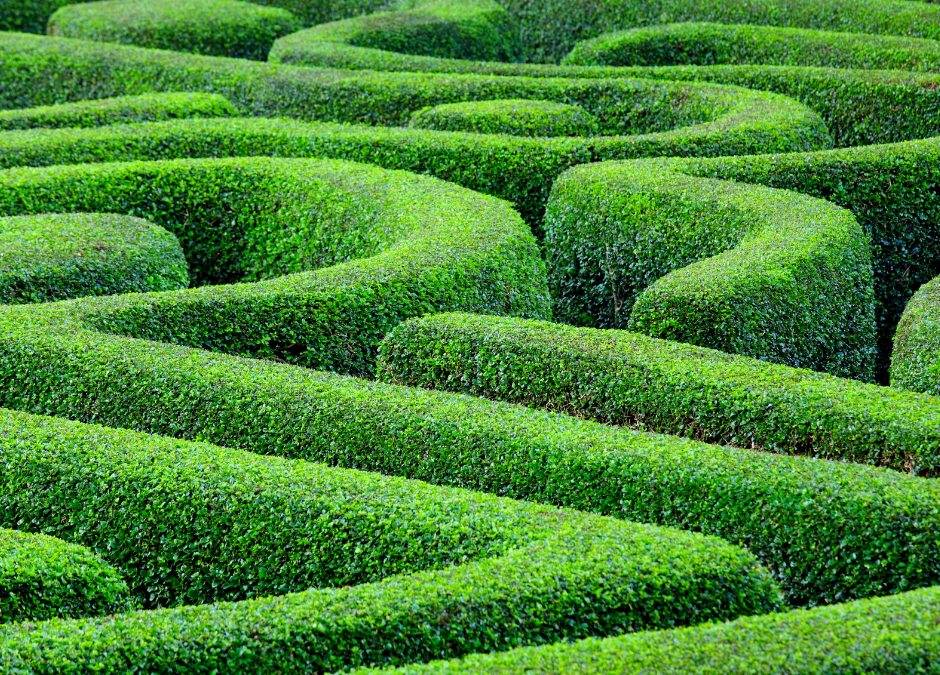 Navigating the maze: How to Find the Right Weight Management Plan for You